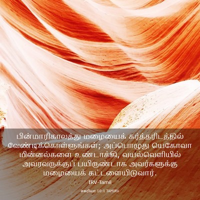 Picture 03 - சகரியா 10:1 TAMIRV - பின்மாரிகாலத்து - Bible Verse Picture