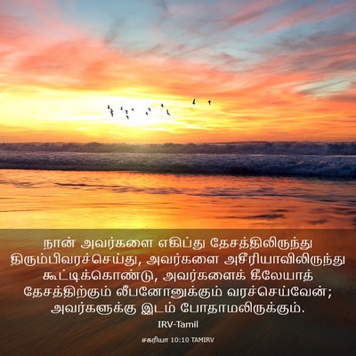 Picture 03 - சகரியா 10:10 TAMIRV - நான் அவர்களை - Bible Verse Picture
