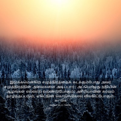 Picture 03 - சகரியா 10:11 TAMIRV - இடுக்கமென்கிற - Bible Verse Picture