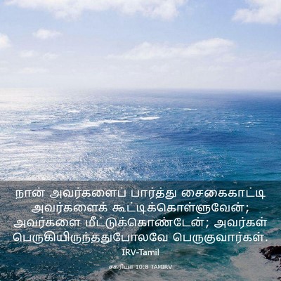 Picture 03 - சகரியா 10:8 TAMIRV - நான் அவர்களைப் - Bible Verse Picture