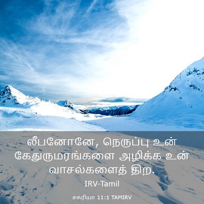 Picture 03 - சகரியா 11:1 TAMIRV - லீபனோனே, நெருப்பு - Bible Verse Picture