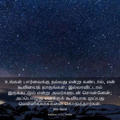 Picture 03 - சகரியா 11:12 TAMIRV - உங்கள் பார்வைக்கு - Bible Verse Picture