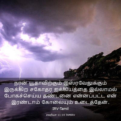Picture 03 - சகரியா 11:14 TAMIRV - நான் யூதாவிற்கும் - Bible Verse Picture
