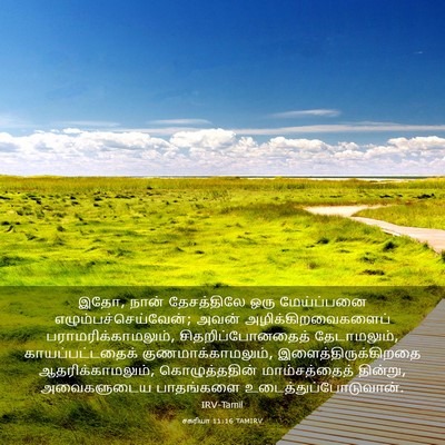 Picture 03 - சகரியா 11:16 TAMIRV - இதோ, நான் - Bible Verse Picture