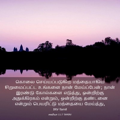 Picture 03 - சகரியா 11:7 TAMIRV - கொலை - Bible Verse Picture