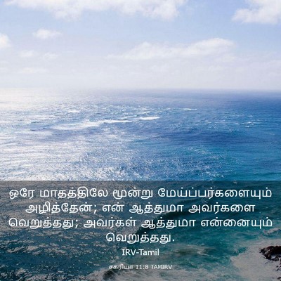 Picture 03 - சகரியா 11:8 TAMIRV - ஒரே மாதத்திலே - Bible Verse Picture