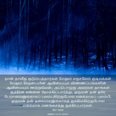 Picture 03 - சகரியா 12:10 TAMIRV - நான் தாவீது - Bible Verse Picture