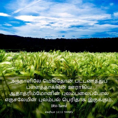 Picture 03 - சகரியா 12:11 TAMIRV - அந்நாளிலே - Bible Verse Picture