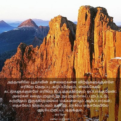 Picture 03 - சகரியா 12:6 TAMIRV - அந்நாளிலே - Bible Verse Picture