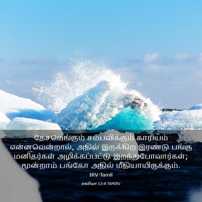 Picture 03 - சகரியா 13:8 TAMIRV - தேசமெங்கும் - Bible Verse Picture