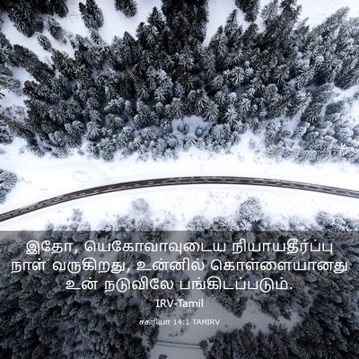 Picture 03 - சகரியா 14:1 TAMIRV - இதோ, யெகோவாவுடைய - Bible Verse Picture