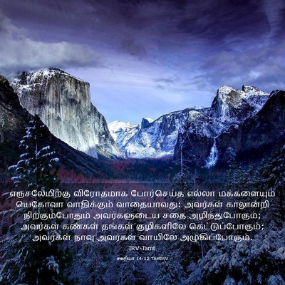 Picture 03 - சகரியா 14:12 TAMIRV - எருசலேமிற்கு - Bible Verse Picture
