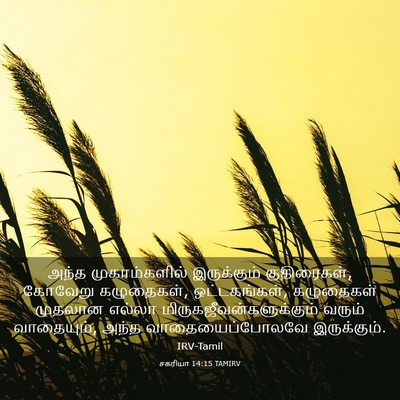 Picture 03 - சகரியா 14:15 TAMIRV - அந்த முகாம்களில் - Bible Verse Picture