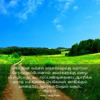 Picture 03 - சகரியா 14:18 TAMIRV - எகிப்தின் வம்சம் - Bible Verse Picture