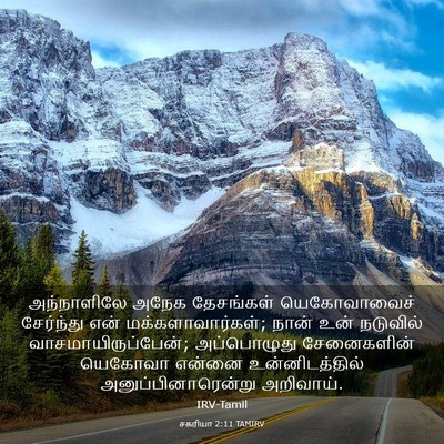 Picture 03 - சகரியா 2:11 TAMIRV - அந்நாளிலே அநேக - Bible Verse Picture