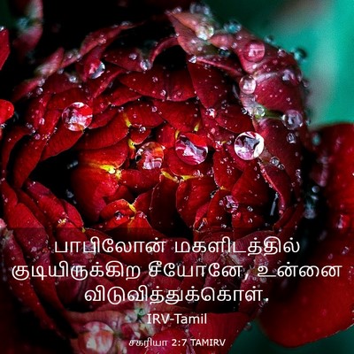 Picture 03 - சகரியா 2:7 TAMIRV - பாபிலோன் - Bible Verse Picture