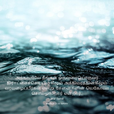 Picture 03 - சகரியா 3:10 TAMIRV - அந்நாளிலே நீங்கள் - Bible Verse Picture