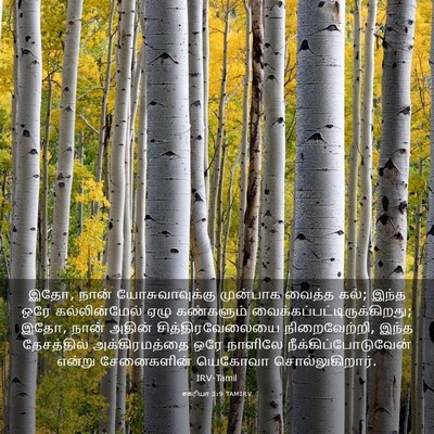 Picture 03 - சகரியா 3:9 TAMIRV - இதோ, நான் - Bible Verse Picture