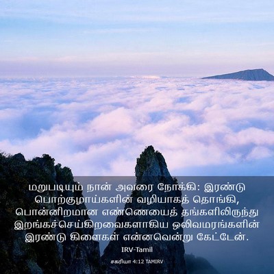 Picture 03 - சகரியா 4:12 TAMIRV - மறுபடியும் நான் - Bible Verse Picture