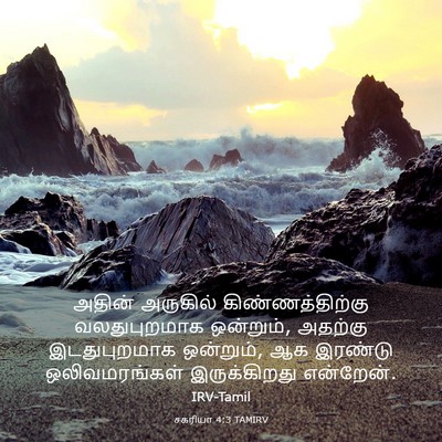 Picture 03 - சகரியா 4:3 TAMIRV - அதின் அருகில் - Bible Verse Picture