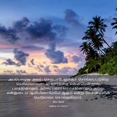 Picture 03 - சகரியா 4:6 TAMIRV - அப்பொழுது அவர்: - Bible Verse Picture