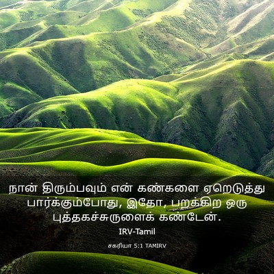 Picture 03 - சகரியா 5:1 TAMIRV - நான் திரும்பவும் - Bible Verse Picture