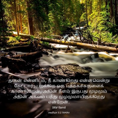 Picture 03 - சகரியா 5:2 TAMIRV - தூதன் என்னிடம், நீ - Bible Verse Picture