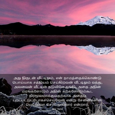Picture 03 - சகரியா 5:4 TAMIRV - அது திருடன் - Bible Verse Picture