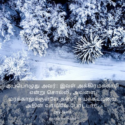 Picture 03 - சகரியா 5:8 TAMIRV - அப்பொழுது அவர்: - Bible Verse Picture