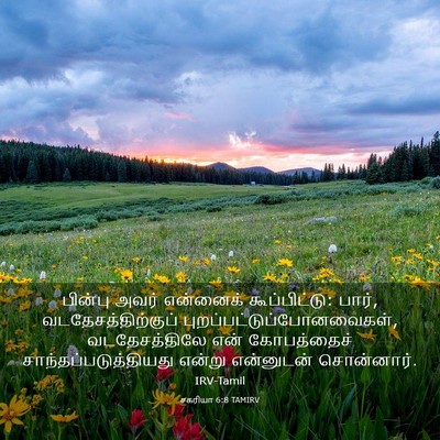 Picture 03 - சகரியா 6:8 TAMIRV - பின்பு அவர் - Bible Verse Picture