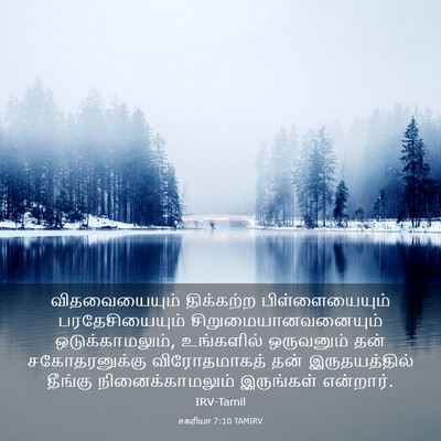 Picture 03 - சகரியா 7:10 TAMIRV - விதவையையும் - Bible Verse Picture