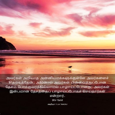 Picture 03 - சகரியா 7:14 TAMIRV - அவர்கள் அறியாத - Bible Verse Picture