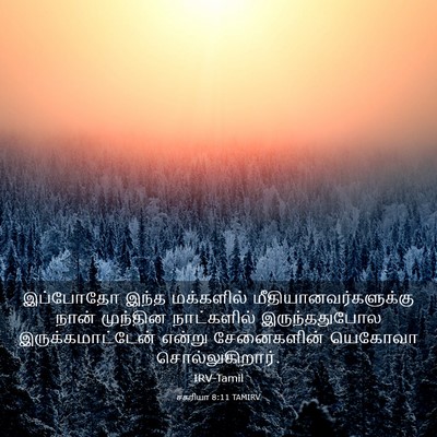 Picture 03 - சகரியா 8:11 TAMIRV - இப்போதோ இந்த - Bible Verse Picture