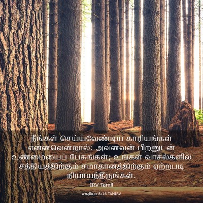 Picture 03 - சகரியா 8:16 TAMIRV - நீங்கள் - Bible Verse Picture