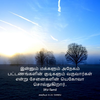 Picture 03 - சகரியா 8:20 TAMIRV - இன்னும் மக்களும் - Bible Verse Picture