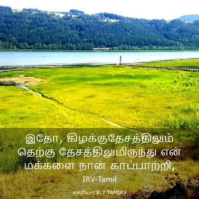 Picture 03 - சகரியா 8:7 TAMIRV - இதோ, - Bible Verse Picture