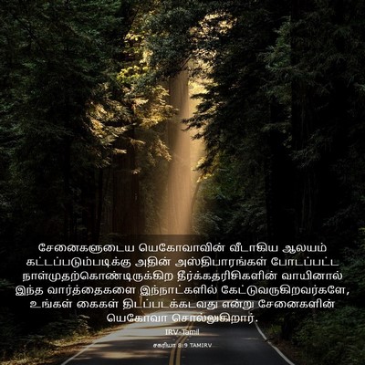 Picture 03 - சகரியா 8:9 TAMIRV - சேனைகளுடைய - Bible Verse Picture