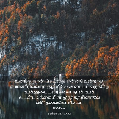 Picture 03 - சகரியா 9:11 TAMIRV - உனக்கு நான் - Bible Verse Picture