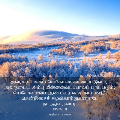 Picture 03 - சகரியா 9:14 TAMIRV - அவர்கள் பக்கம் - Bible Verse Picture