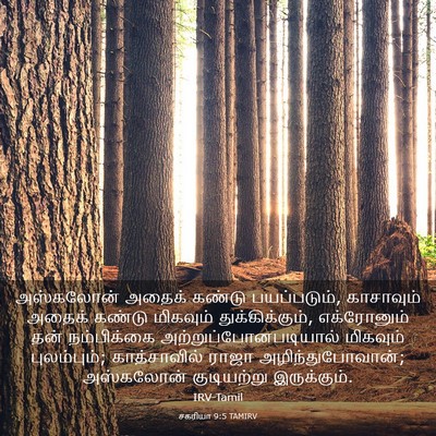 Picture 03 - சகரியா 9:5 TAMIRV - அஸ்கலோன் அதைக் - Bible Verse Picture