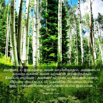 Picture 03 - சகரியா 9:7 TAMIRV - அவனுடைய இரத்தத்தை - Bible Verse Picture