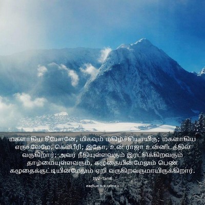 Picture 03 - சகரியா 9:9 TAMIRV - மகளாகிய சீயோனே, - Bible Verse Picture