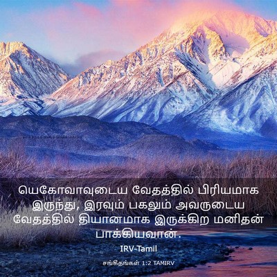Picture 03 - சங்கீதங்கள் 1:2 TAMIRV - யெகோவாவுடைய - Bible Verse Picture