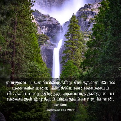 Picture 03 - சங்கீதங்கள் 10:9 TAMIRV - தன்னுடைய - Bible Verse Picture