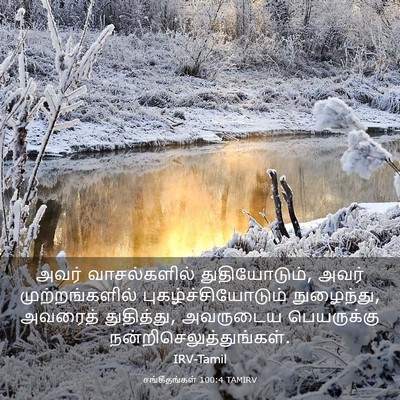 Picture 03 - சங்கீதங்கள் 100:4 TAMIRV - அவர் வாசல்களில் - Bible Verse Picture