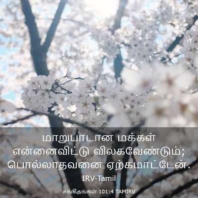 Picture 03 - சங்கீதங்கள் 101:4 TAMIRV - மாறுபாடான மக்கள் - Bible Verse Picture