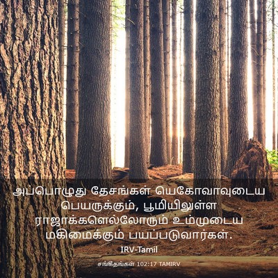 Picture 03 - சங்கீதங்கள் 102:17 TAMIRV - அப்பொழுது - Bible Verse Picture