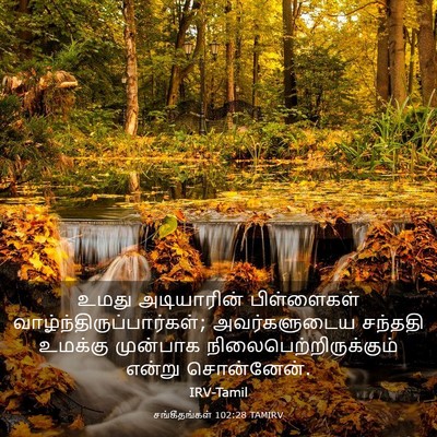 Picture 03 - சங்கீதங்கள் 102:28 TAMIRV - உமது அடியாரின் - Bible Verse Picture