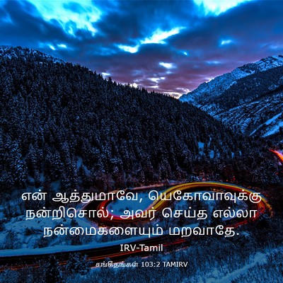 Picture 03 - சங்கீதங்கள் 103:2 TAMIRV - என் ஆத்துமாவே, - Bible Verse Picture