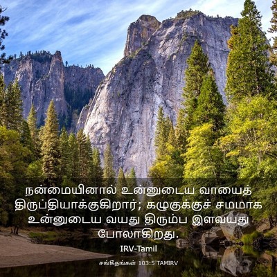 Picture 03 - சங்கீதங்கள் 103:5 TAMIRV - நன்மையினால் - Bible Verse Picture